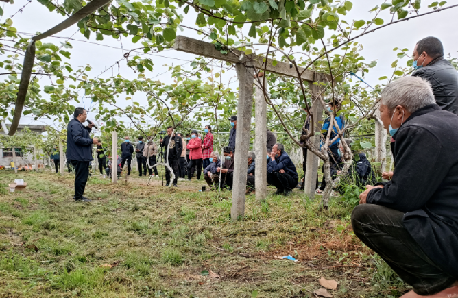 031659517863645513.png 33.png