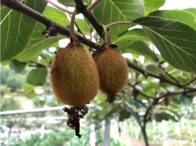 011661998870913604.png 111.png