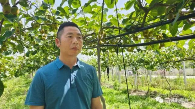 011661998881348362.png 222.png