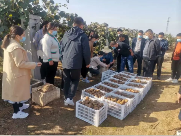 191666140201896818.png 微信圖片_20221019085548.png