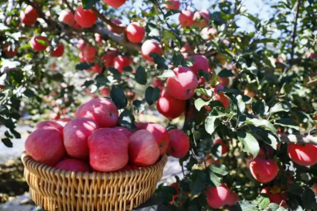 011667271653247607.png 111.png