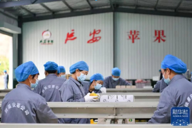 011667271676217075.png 123.png