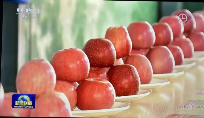 011667271695539101.png 234.png