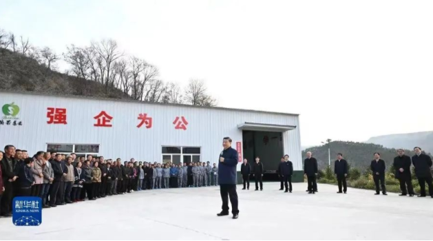 011667271702826061.png 456.png