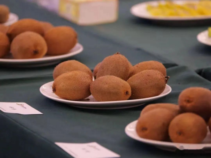 011667272283619306.png 444.png