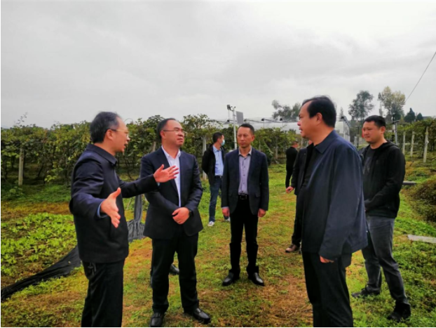 011667272592720227.png 微信圖片_20221101113026.png