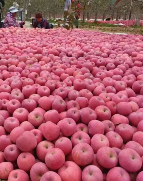 011667289816269971.png 微信圖片_20221101161433.png