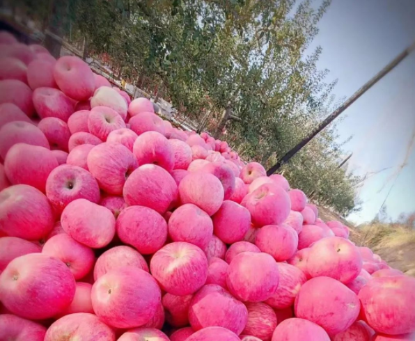 011667289823660243.png 微信圖片_20221101161451.png