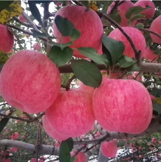 011667289832473712.png 微信圖片_20221101161507.png