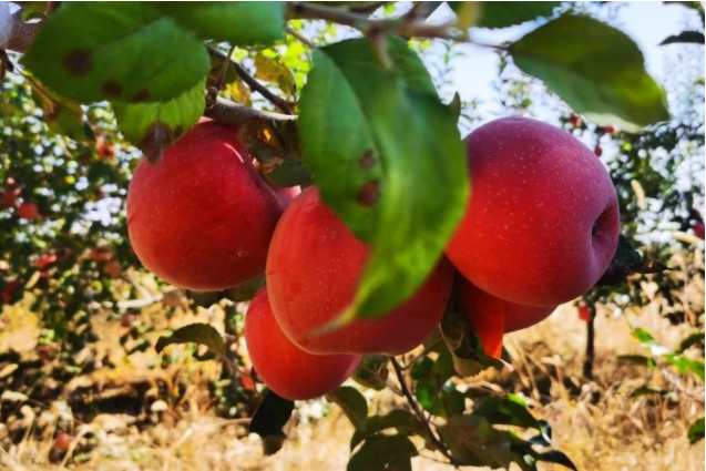 011667291376105470.png 微信圖片_20221101164334.png