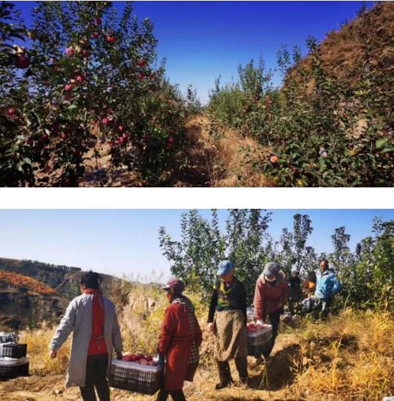 011667291407611211.png 微信圖片_20221101164400.png