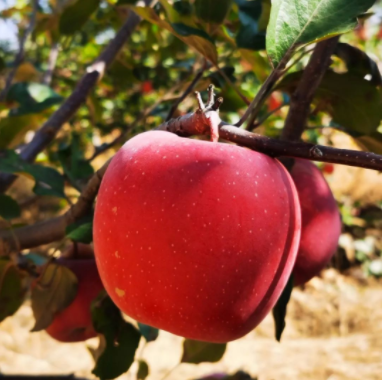 011667291446427151.png 微信圖片_20221101164445.png