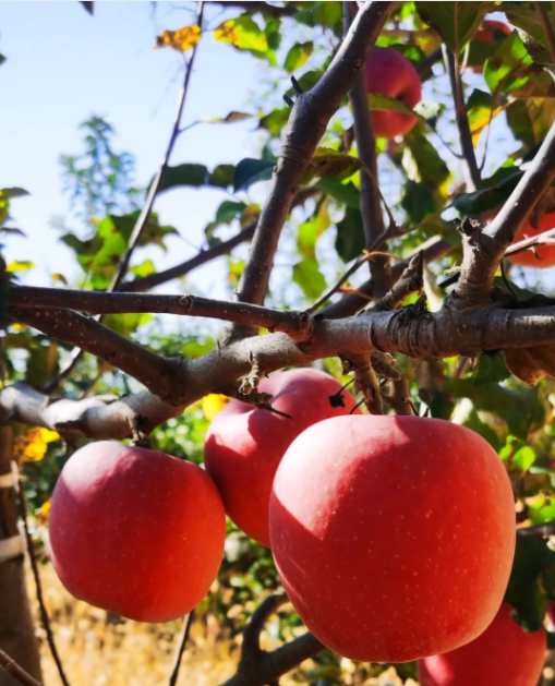 011667291466312825.png 微信圖片_20221101164505.png