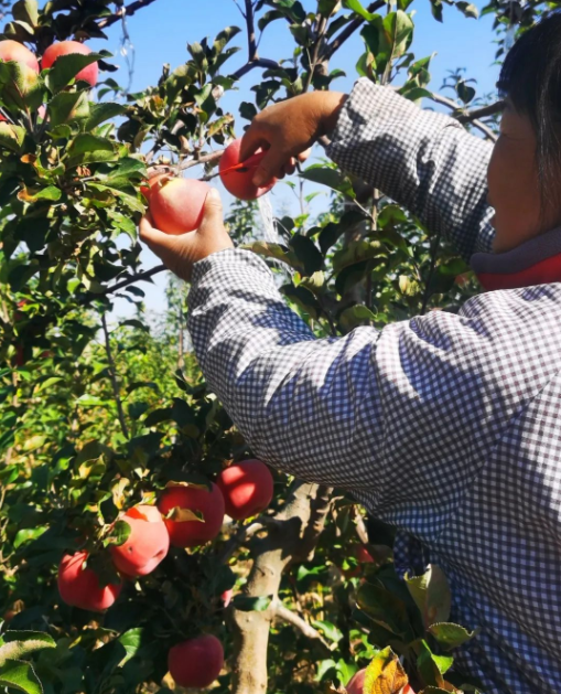 011667291493549332.png 微信圖片_20221101164531.png