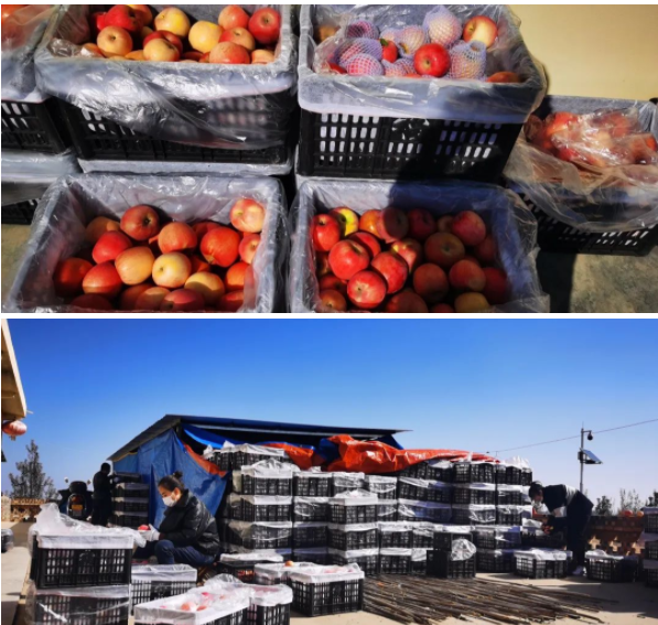 011667291517322102.png 微信圖片_20221101164554.png