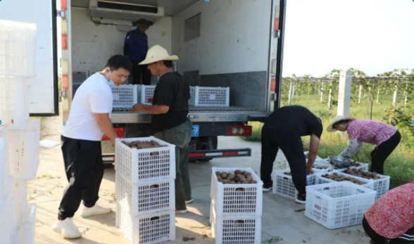 011667292067171924.png 微信圖片_20221101165506.png