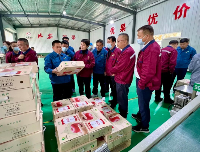 041667528457746662.png 1.png