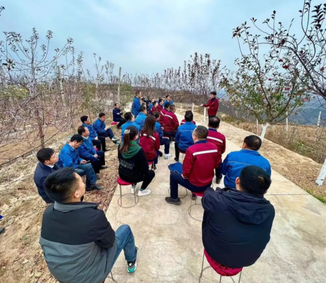 041667528488139847.png 3.png