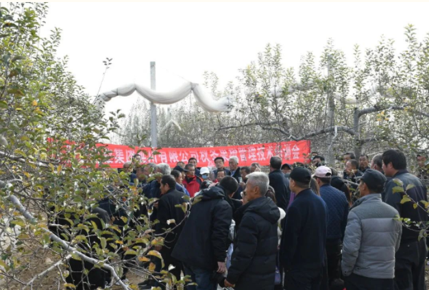 281669617622811824.png 微信圖片_20221128145651.png