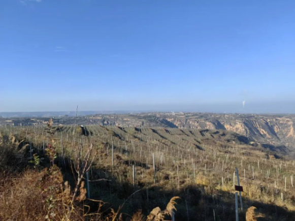 281669618087716263.png 微信圖片_20221128150420.png