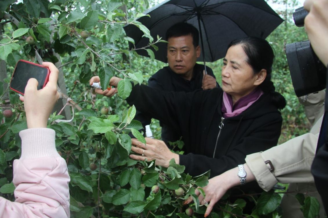 131686644317132675.png 3333.png