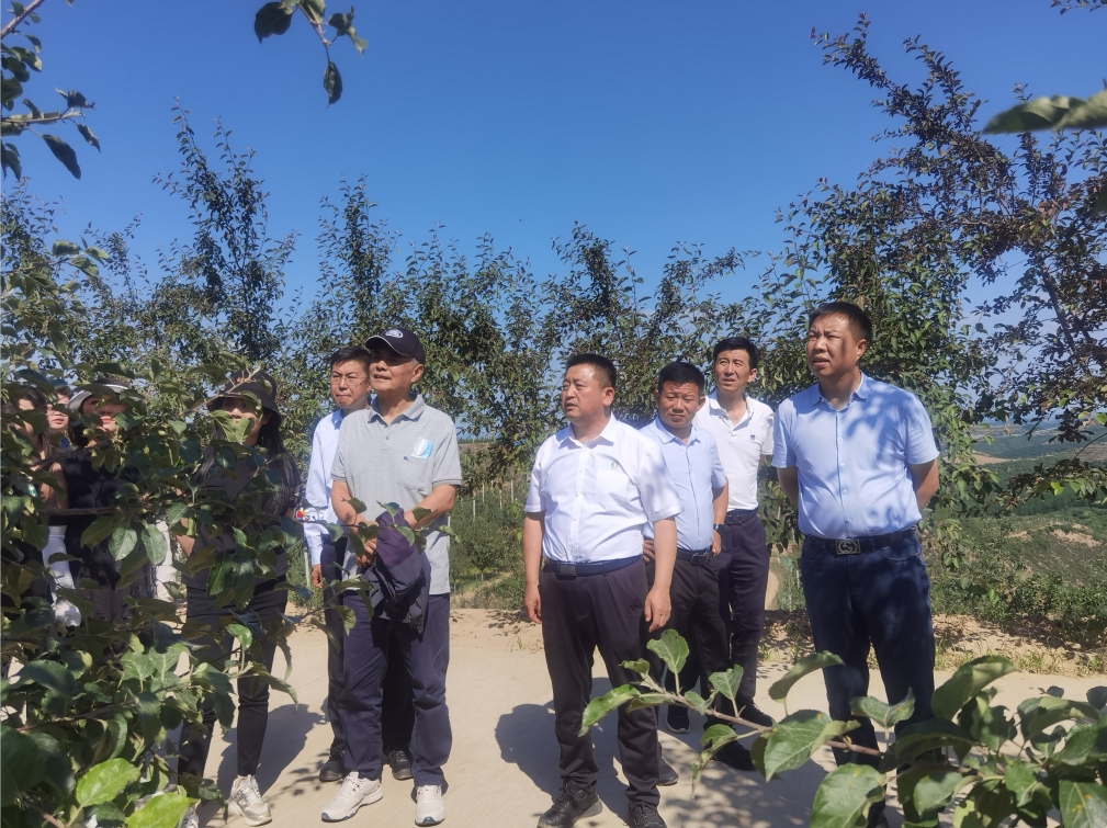 191687160289736238.png 未命名1687160310.png