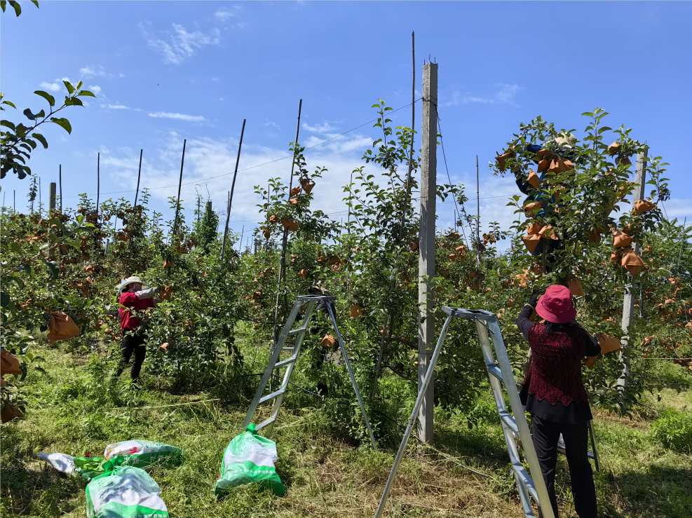 281687943076665108.png 網(wǎng)站.png