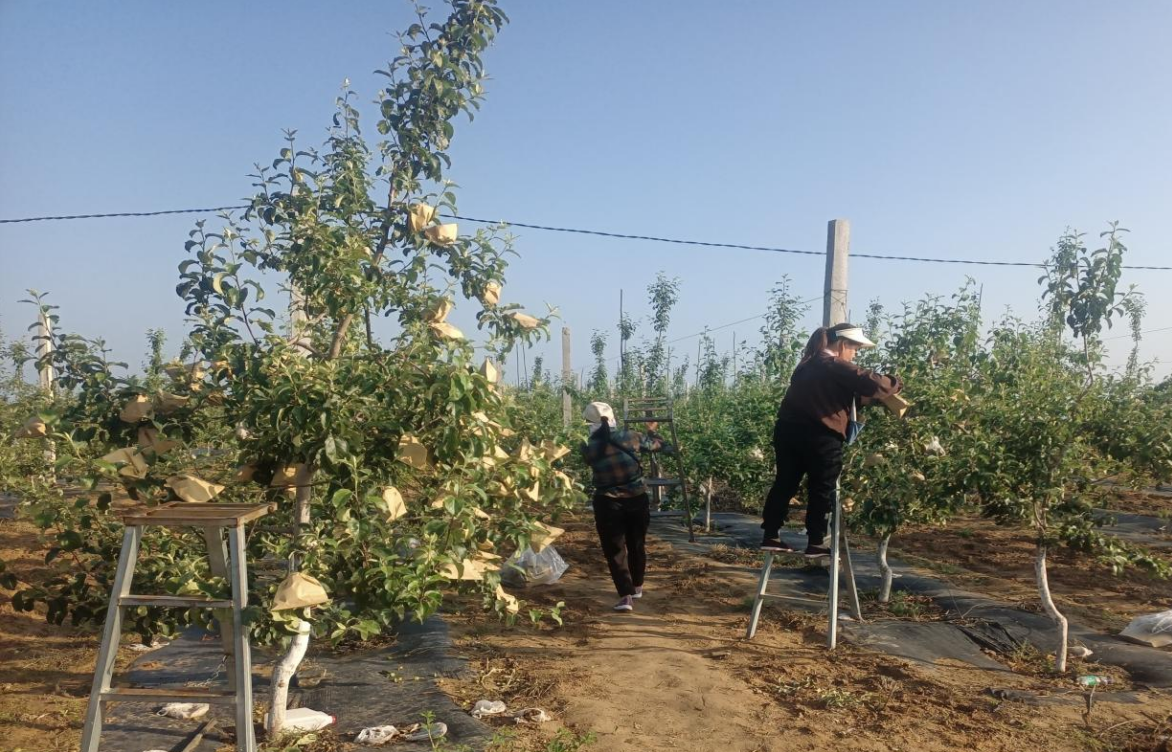 041688443144573769.png 041688443144573769.png