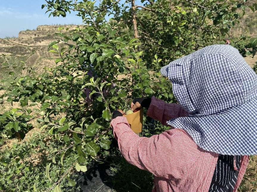 041688443225227291.png 041688443225227291.png