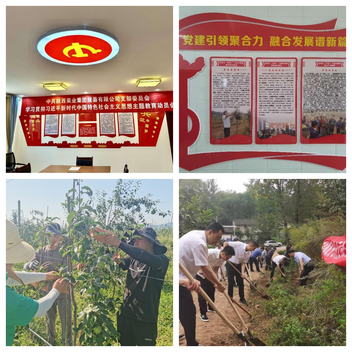 041688460217626699.jpeg 041688460217626699.jpeg