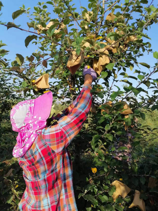 041688460921936875.png 041688460921936875.png