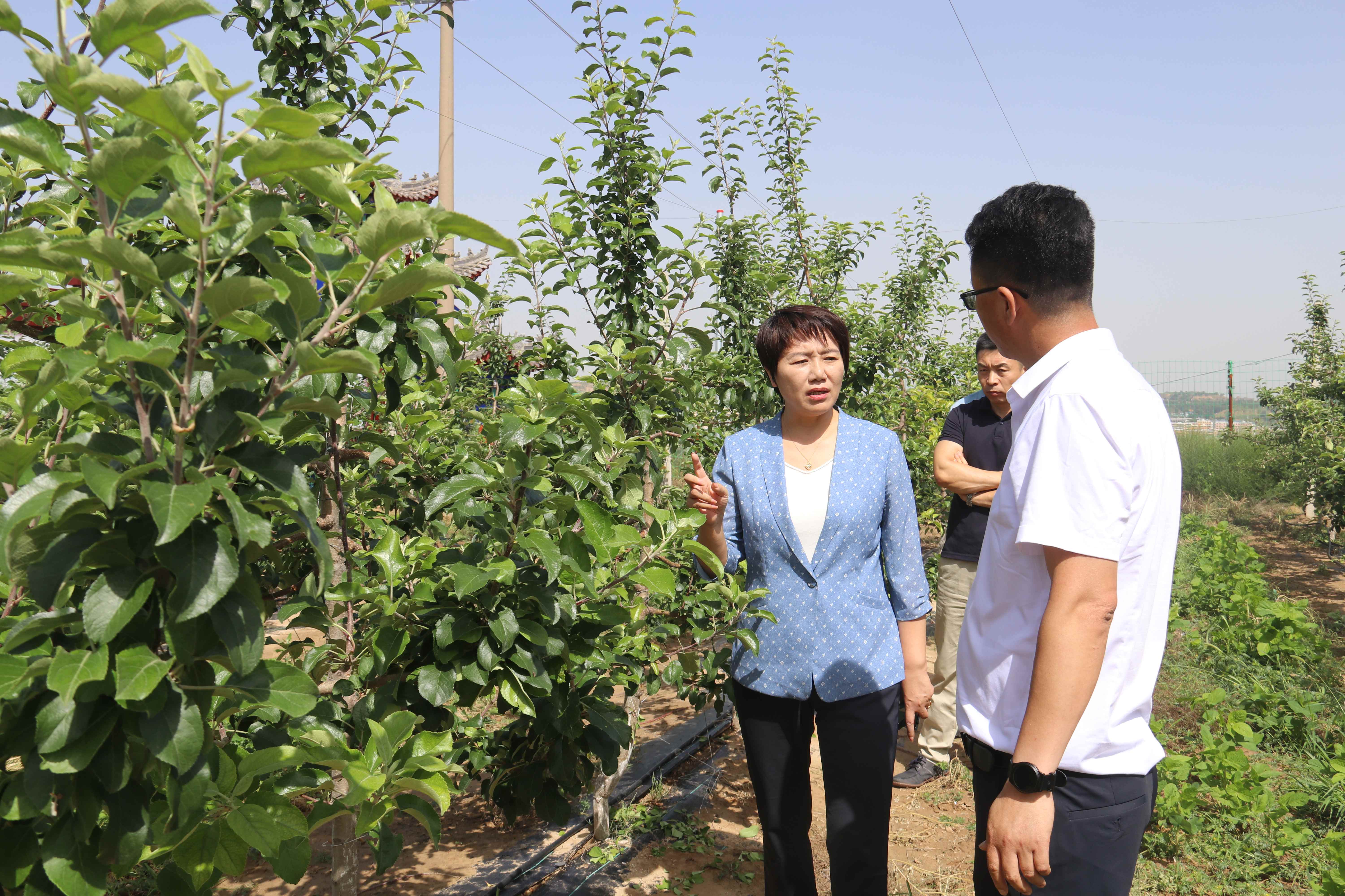 071688692057318363.jpeg 071688692057318363.jpeg