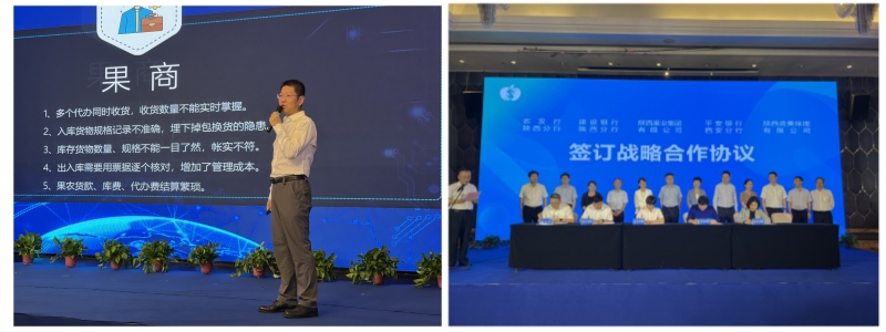 111694399500325359.jpeg 1.jpg