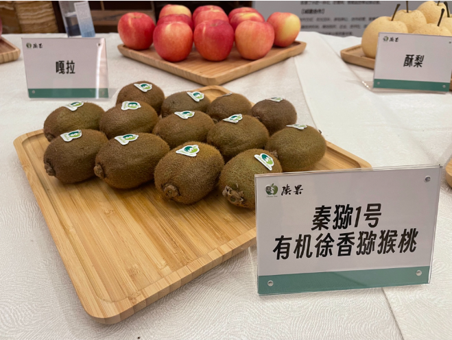 131694571982913671.png 11.png