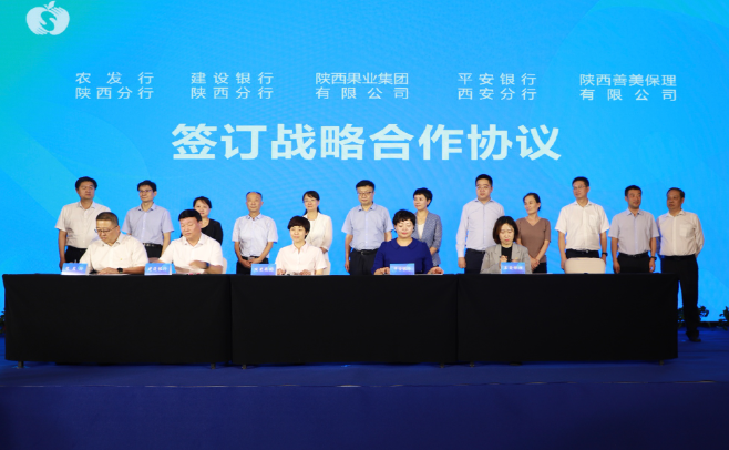 131694572084401439.png 22.png