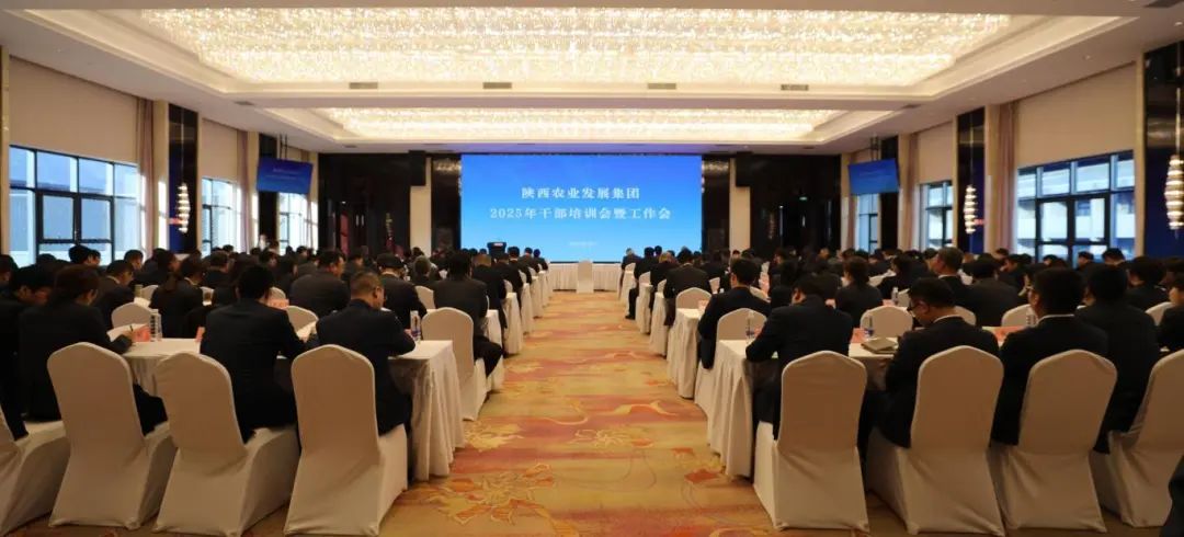 171739777690661707.jpeg 171739777690661707.jpeg